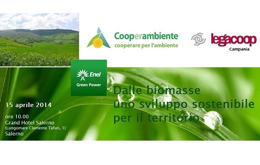Dalle biomasse uno sviluppo sostenibile