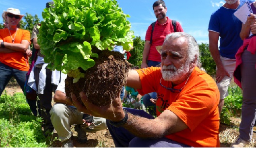 Cooperativa Nuovo Cilento. Corso di agricoltura organica rigenerativa