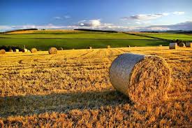 agri