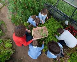 Terra Orti. Presentazione risultati progetto Ivalof