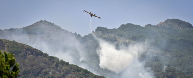 La Repubblica Napoli. Cooperative agricole nelle aree forestali