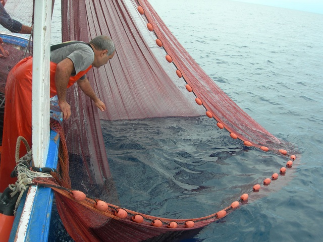 Alleanza Cooperative Pesca: FEAMPA risultato importante per cooperative in difficoltà.